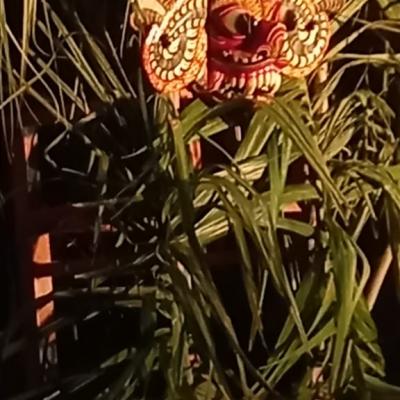 Whatsapp Image 2023 02 28 At 21.29.07